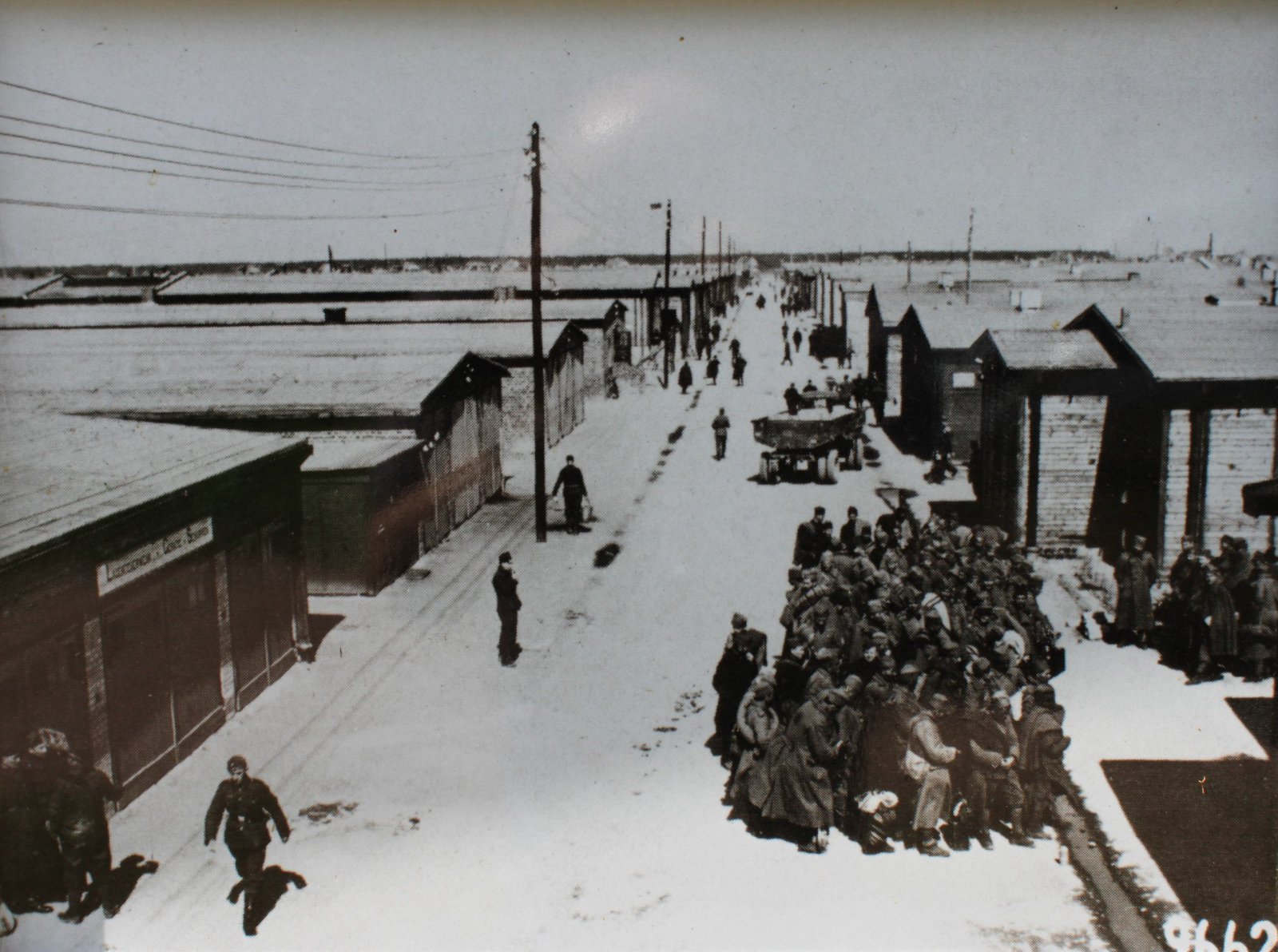 Scan original de Photo du Stalag IV B - vue de la rue principale du camp
